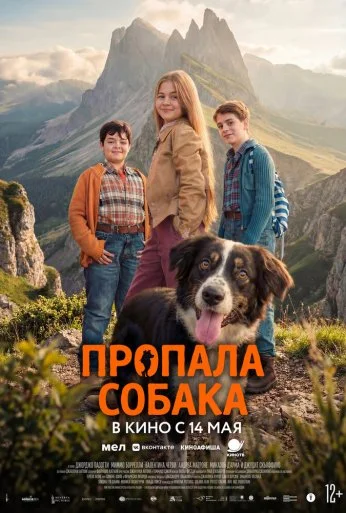 Пропала собака (2025)